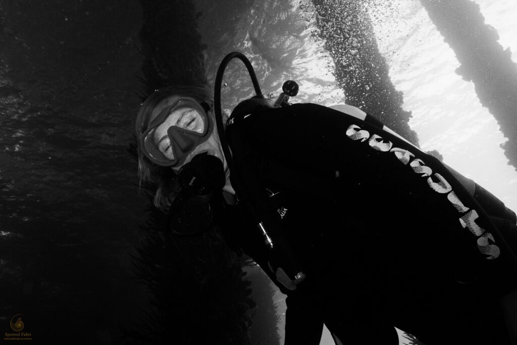 20260206 20260206 dsc04937