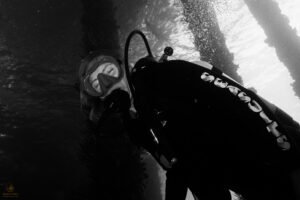 20260206 20260206 dsc04937