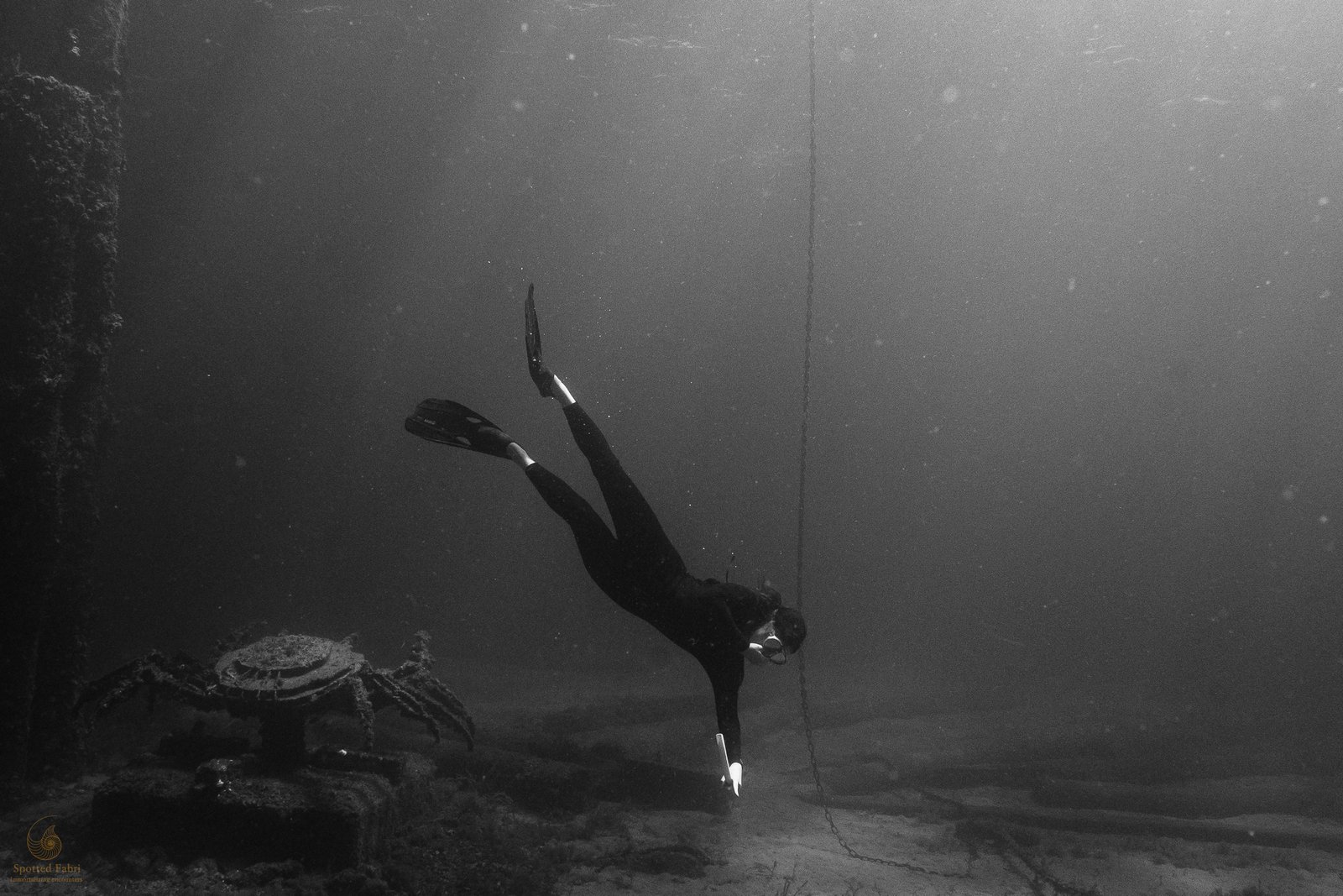 20260206 20260206 dsc04973