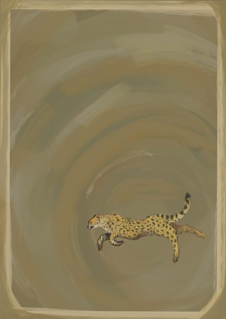 backcover encounters