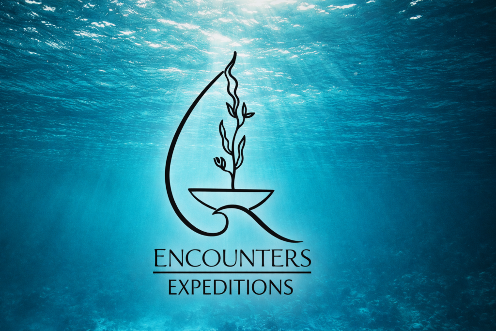 underwater adventure logo design