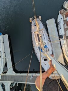 whatsapp image 2026 03 12 at 3.21.06 pm